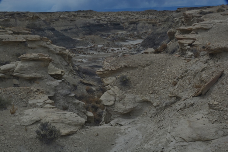 bisti wilderness